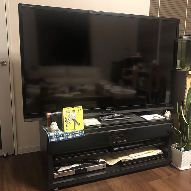 kazu598さんの実例写真
