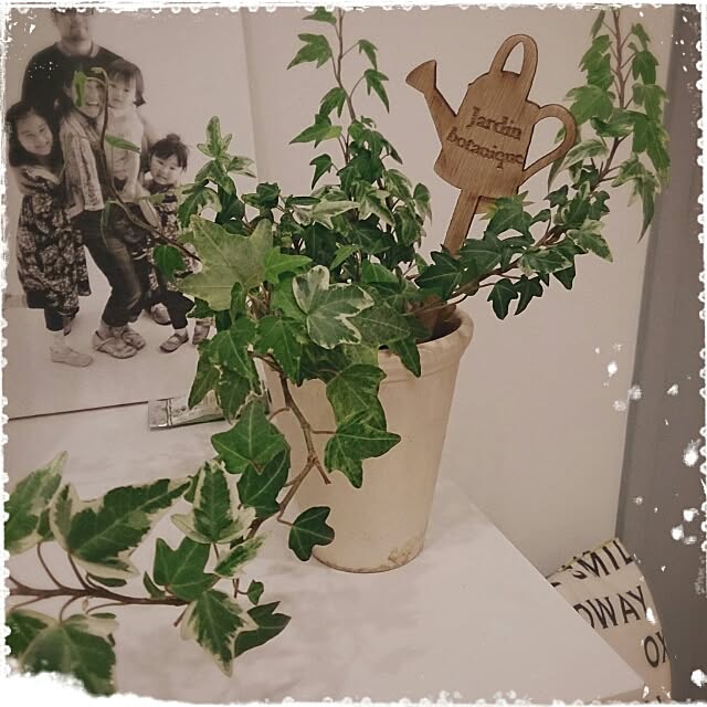 comiriさんの実例写真