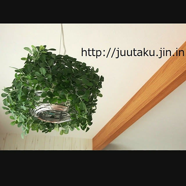 nyantaさんの実例写真