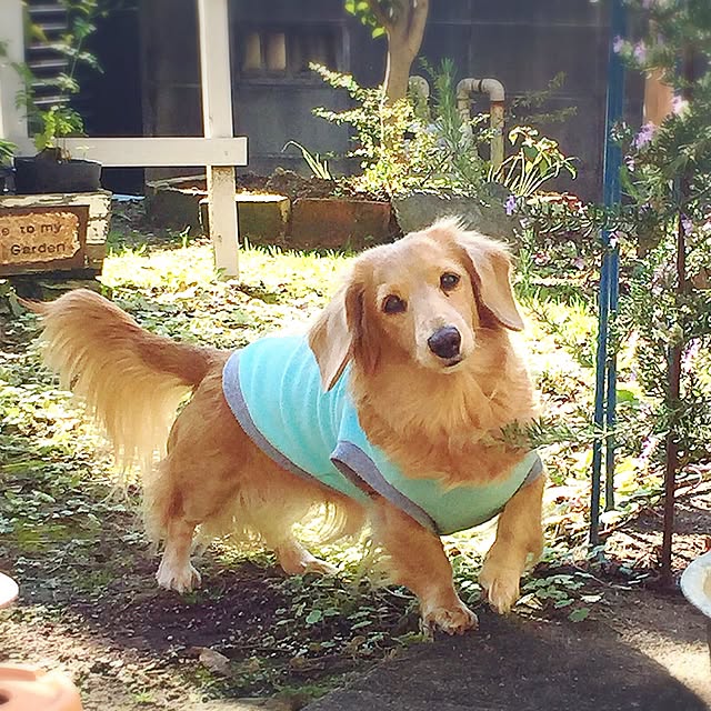 bibianさんの実例写真