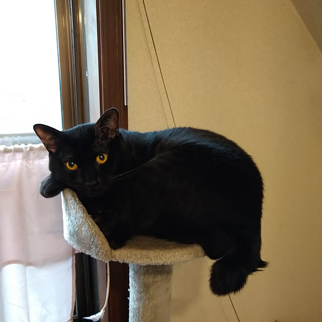 Tさんの実例写真