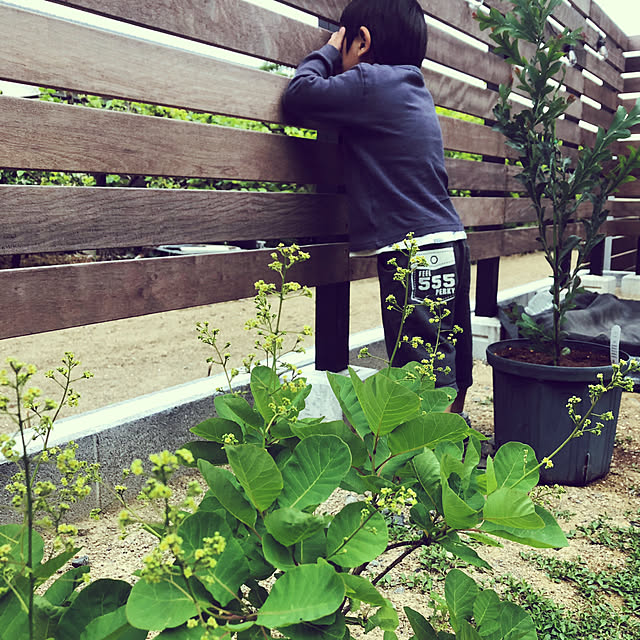 poa.t_hさんの実例写真