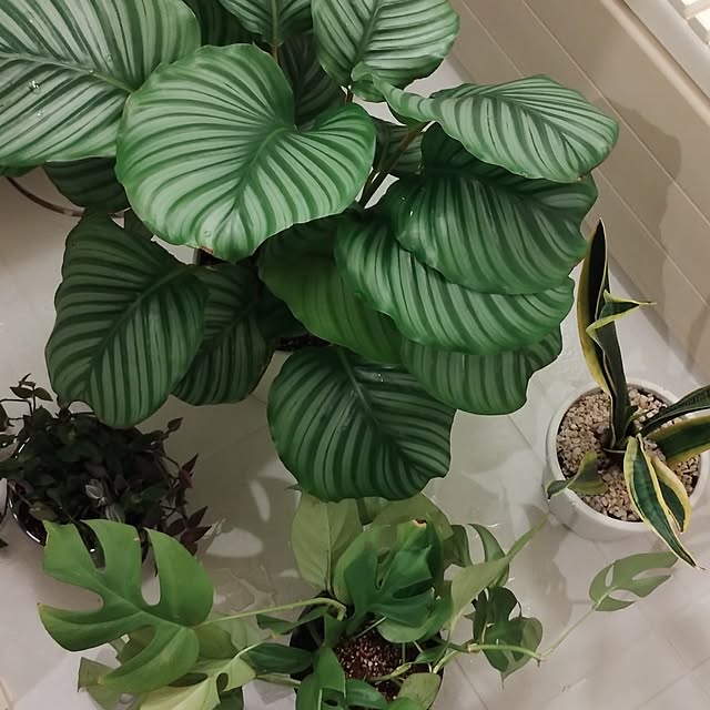 jinさんの部屋