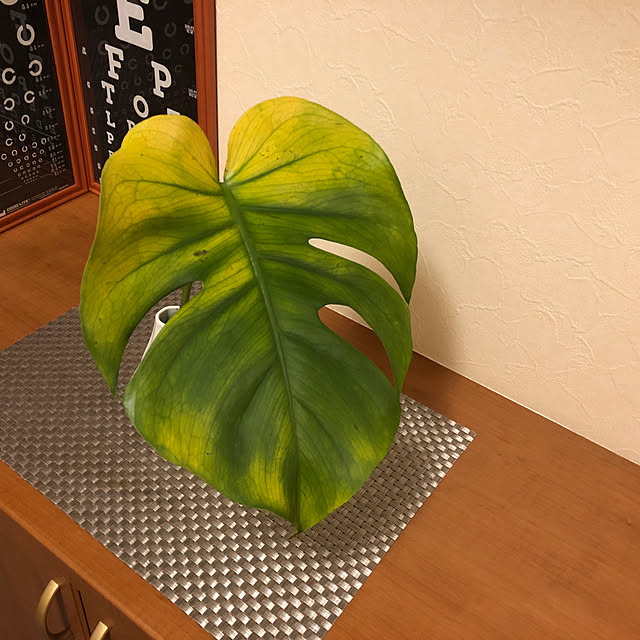 shirkさんの実例写真