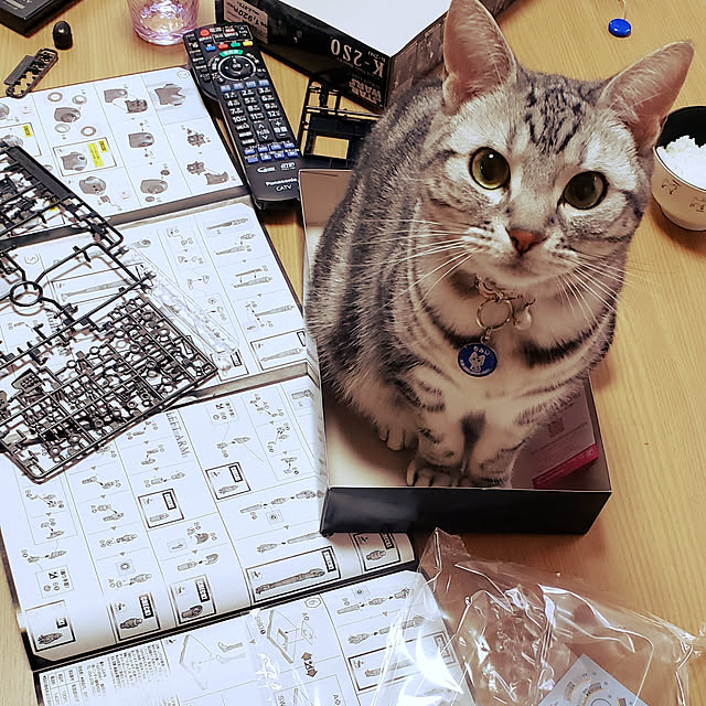 fruityanさんの実例写真