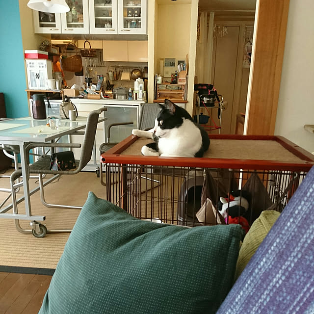 okyosan101さんの実例写真