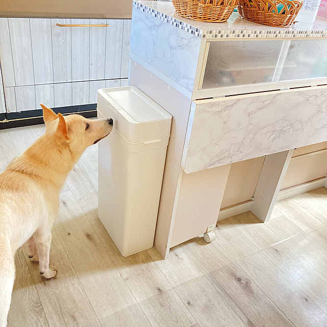 ruruさんの実例写真