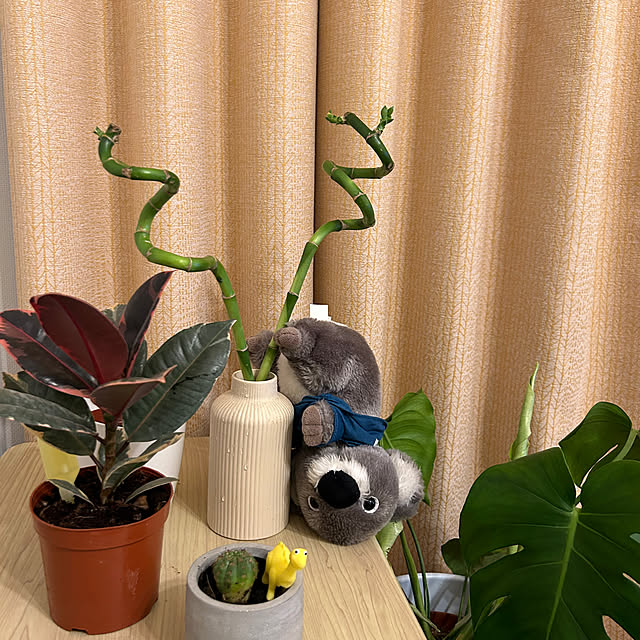 komonoさんの実例写真