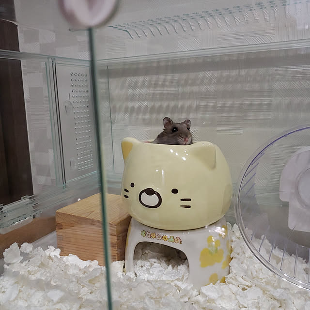 BAZさんの実例写真