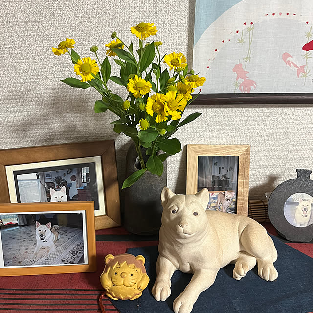 ritsukoさんの部屋