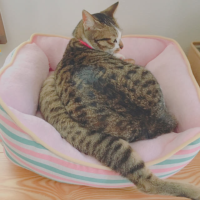 kanaさんの実例写真