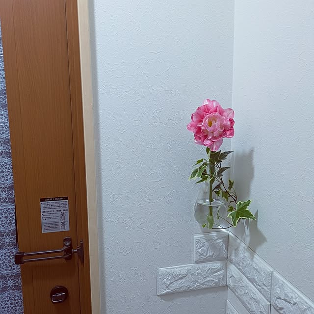 Shion+さんの部屋