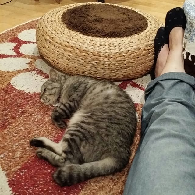 kanabunさんの実例写真