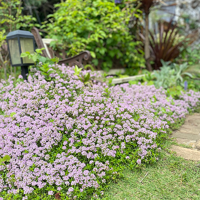 mintteaさんの部屋