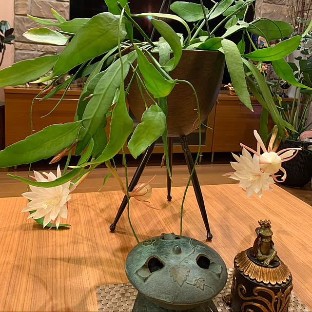 mama_sanさんの実例写真