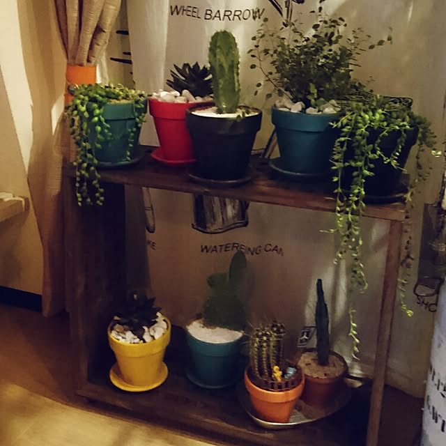 BOOBOOさんの実例写真