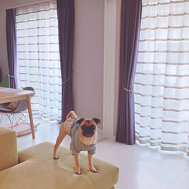 onsen-_-tamagoさんの部屋