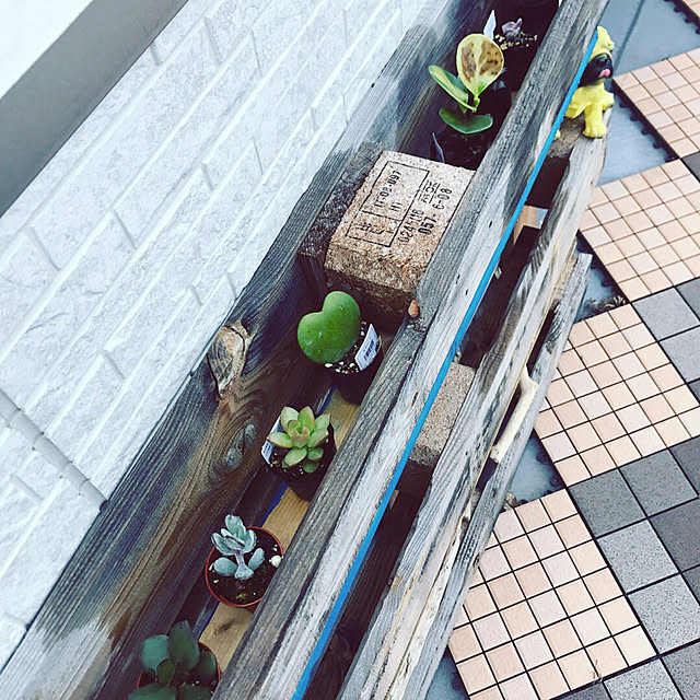 Shinyaさんの実例写真