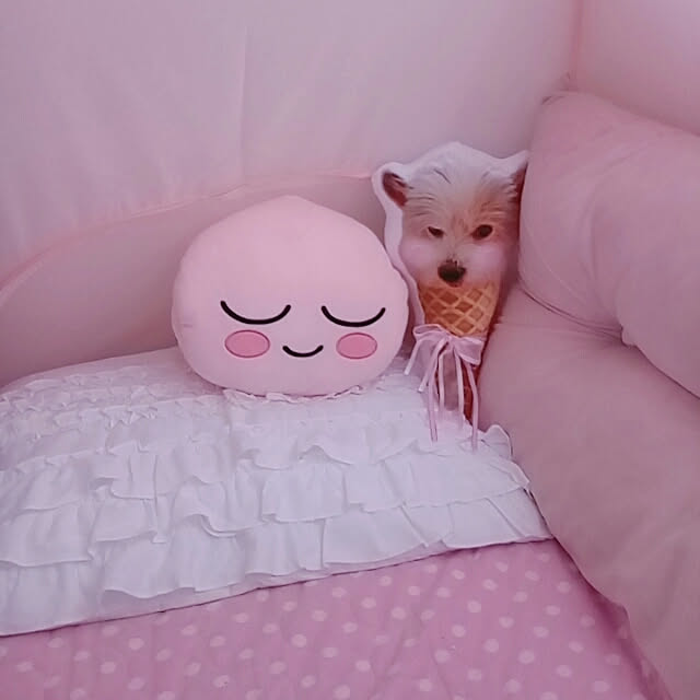 ベッド周り/韓国/ピンク/Pink/愛犬...などのインテリア実例 - 2020-03-18 18:59:25