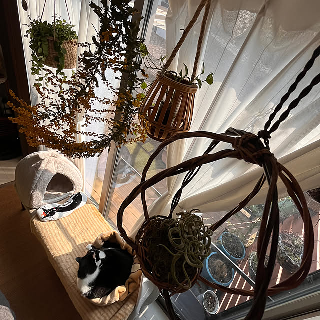 kojimasaさんの部屋