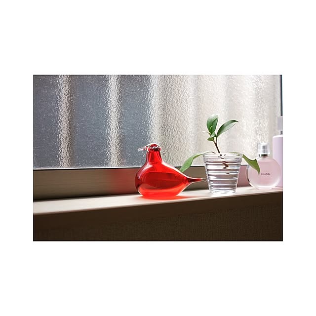 maruさんの実例写真