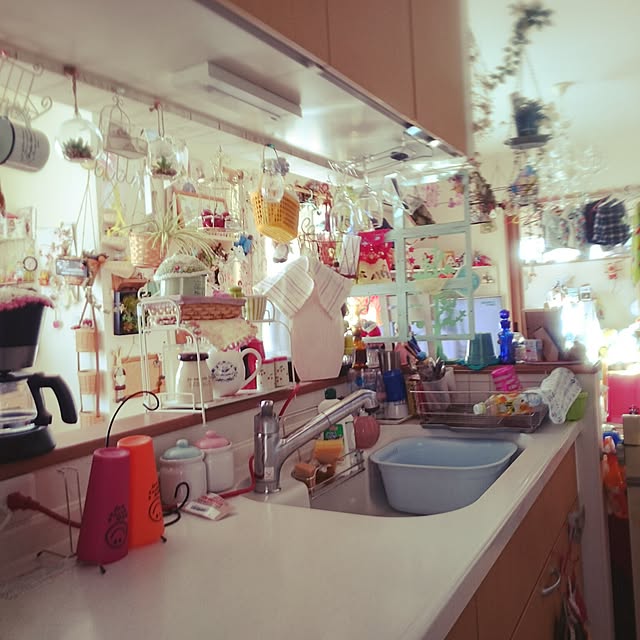 Shimaさんの実例写真