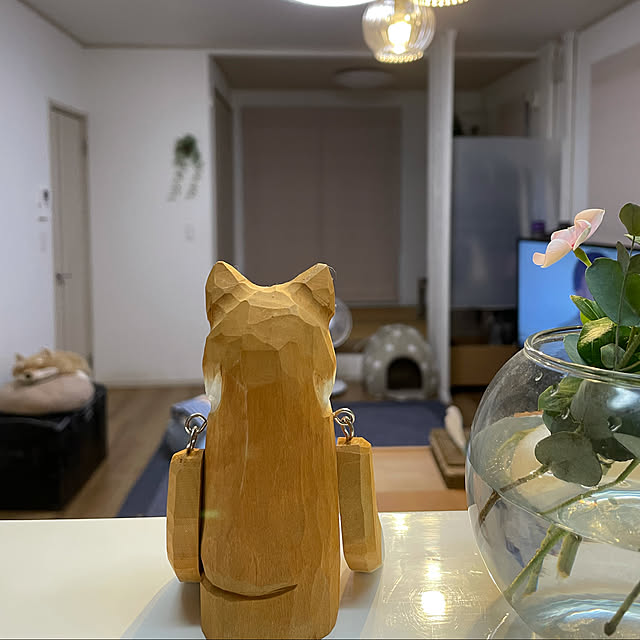 わんこと暮らす家/花壇の花/花のある暮らし/日々草/柴犬の置物...などのインテリア実例 - 2021-06-26 23:31:51