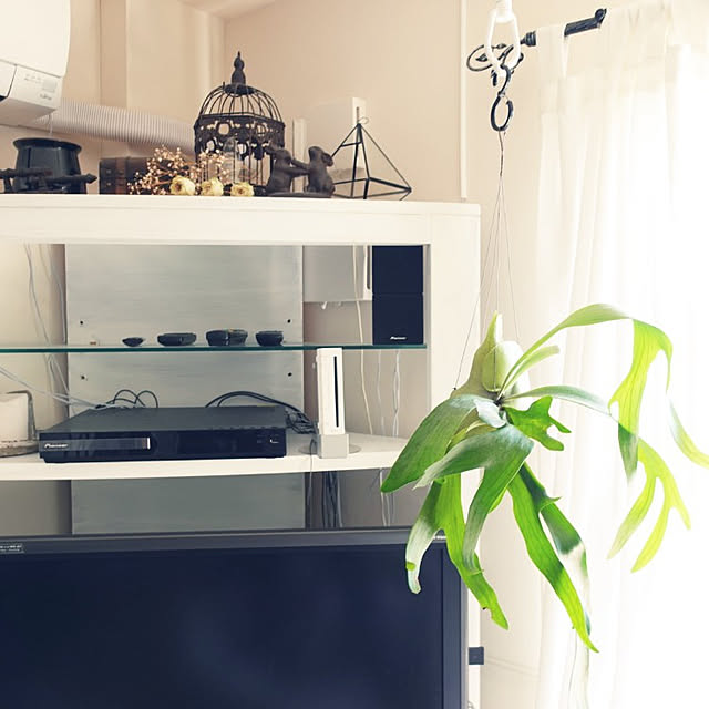 coco.Apartmanさんの実例写真