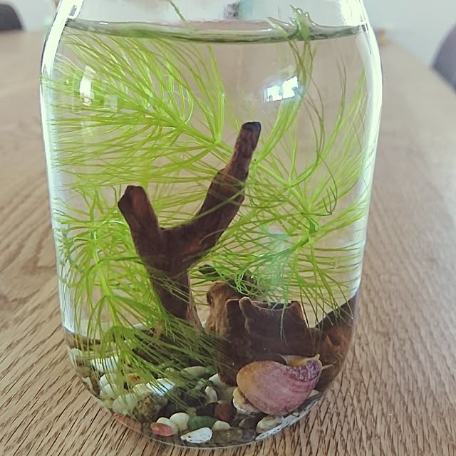 AZさんの実例写真