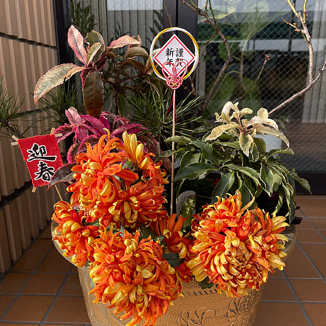 noaさんの実例写真