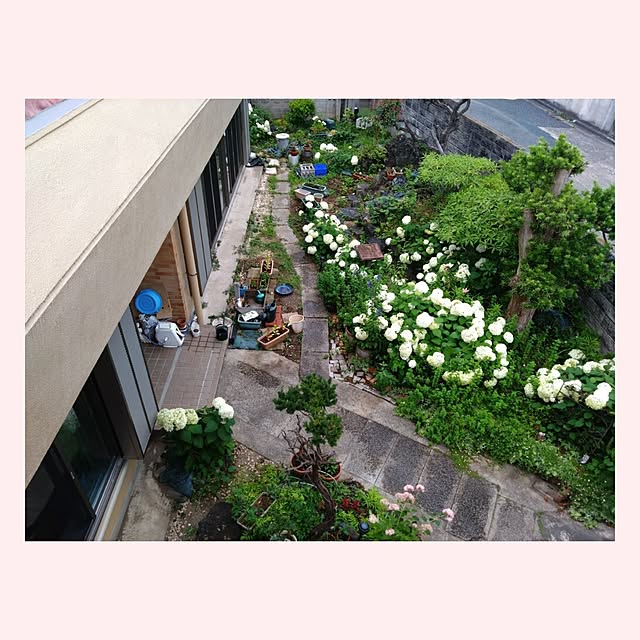 RUrumoさんの実例写真