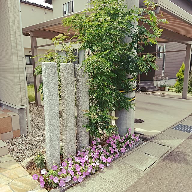 FUKA-Midoriさんの実例写真