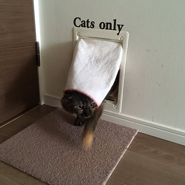 mikomaruさんの実例写真