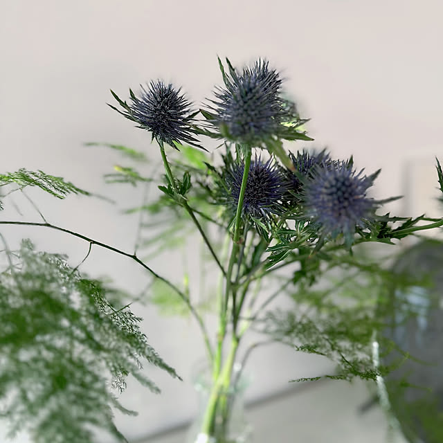 hanahana1444さんの部屋