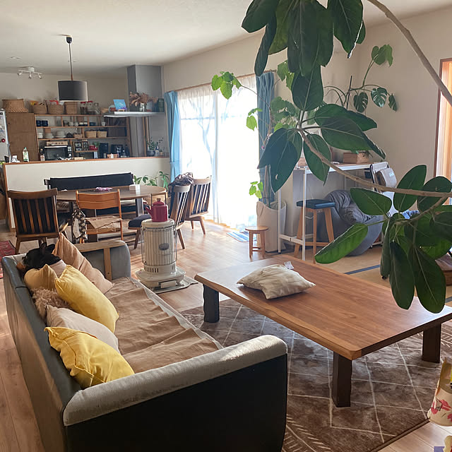 kotaroさんの実例写真