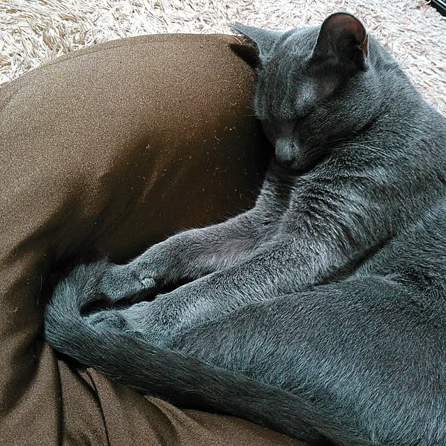 mochiさんの実例写真