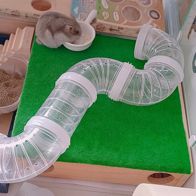 potetloveさんの実例写真