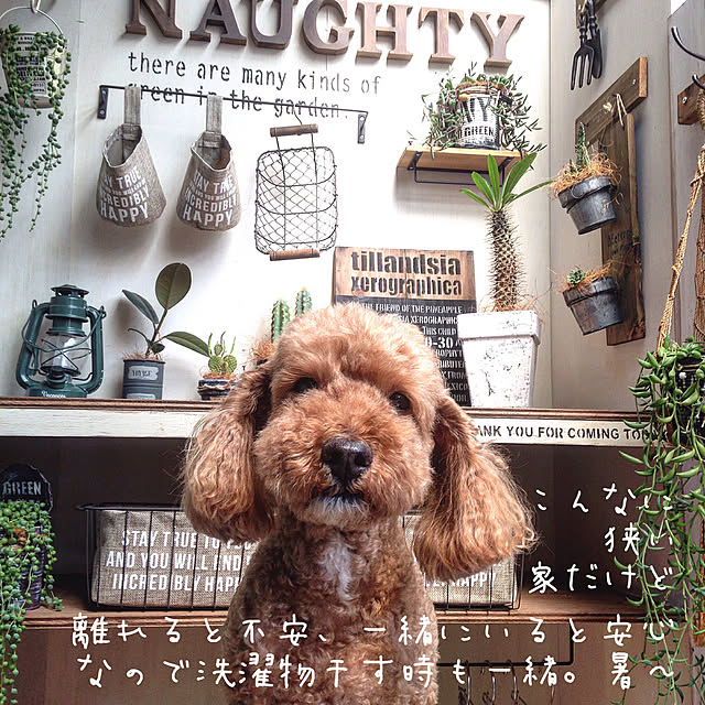 arch.to.meetさんの実例写真