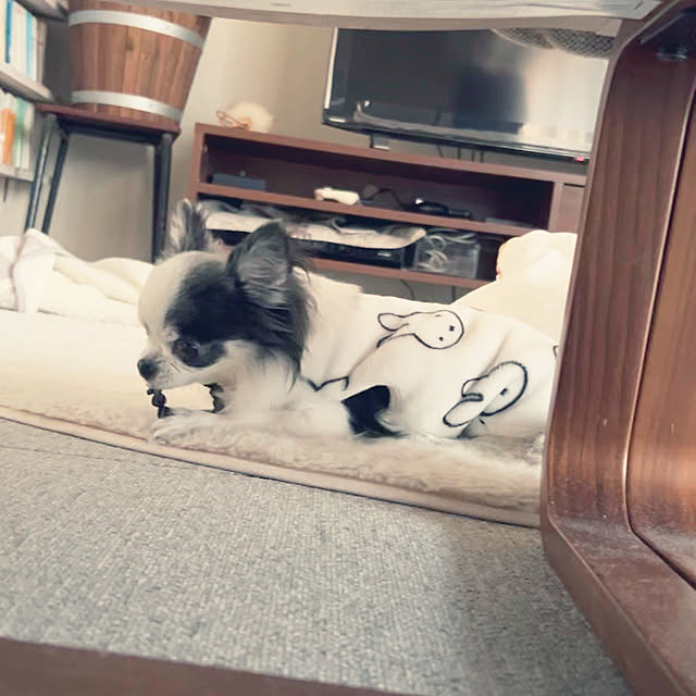 kurukuruさんの実例写真