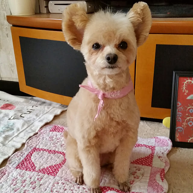 kikiさんの実例写真