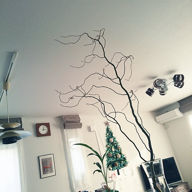 shimayaさんの実例写真