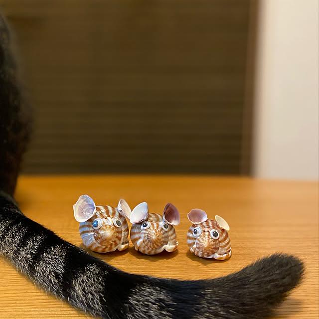 ippu0303Karinさんの実例写真
