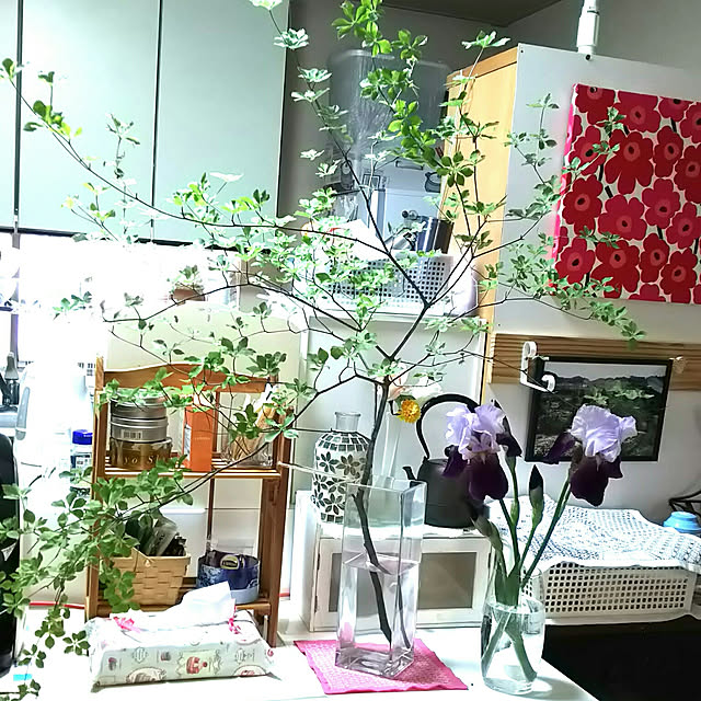 実例写真