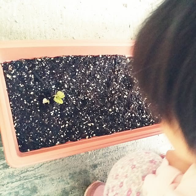 hana.1321jpさんの実例写真