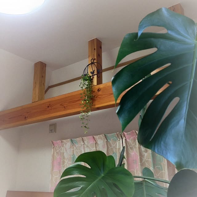 Sachuさんの実例写真