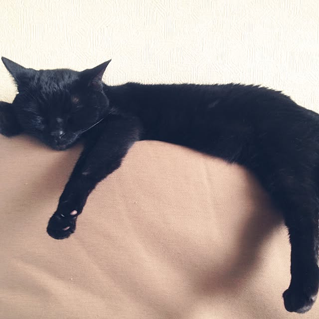 shigimiさんの実例写真