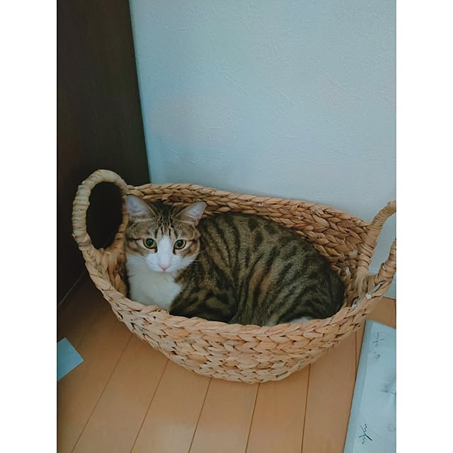 m.aさんの実例写真