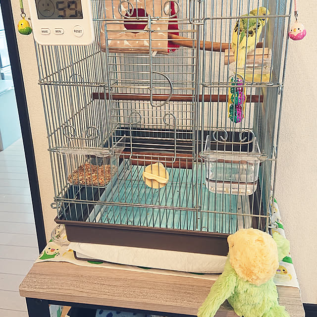 kyonさんの実例写真