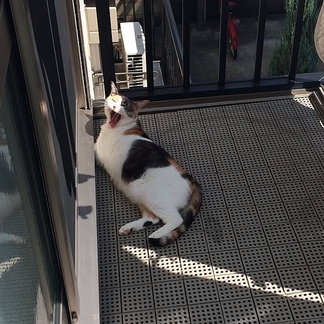 tacomozさんの実例写真