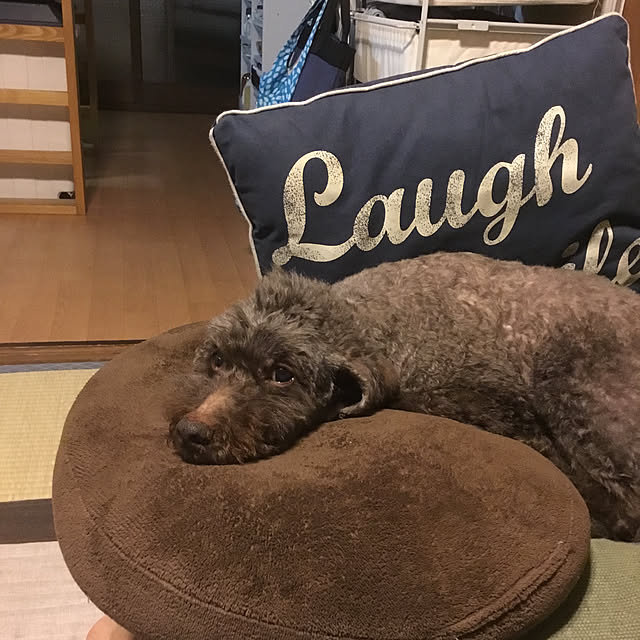 tamaさんの実例写真